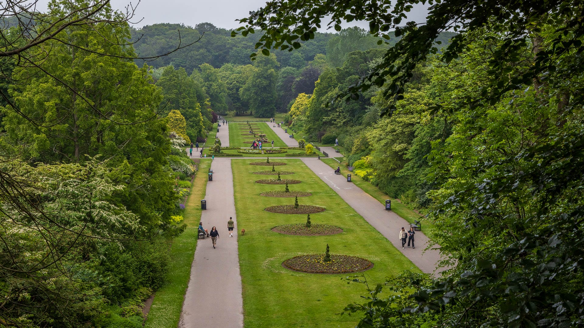 Mitten zwischen den Bäumen des Seaton Park führt der Cathedral Walk hindurch.