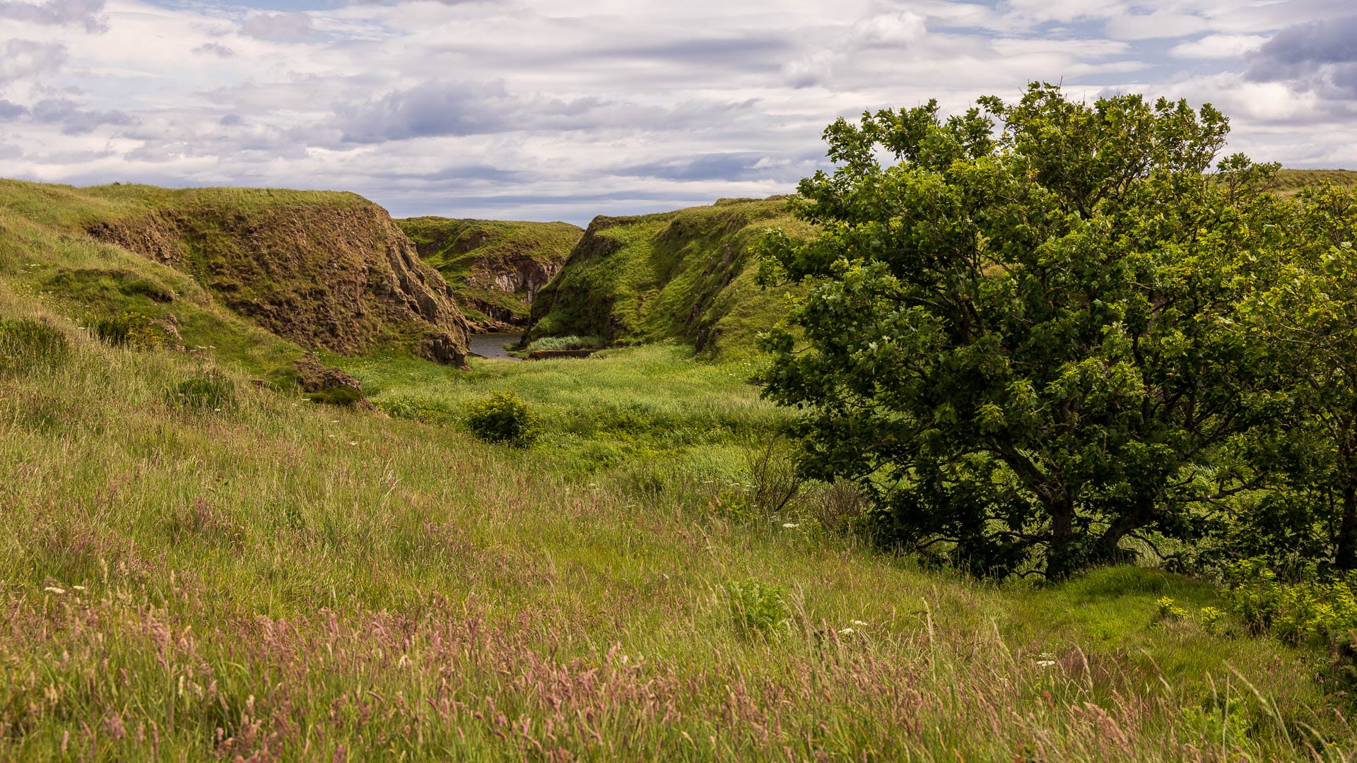Blick auf die Donnons bei Cruden Bay
