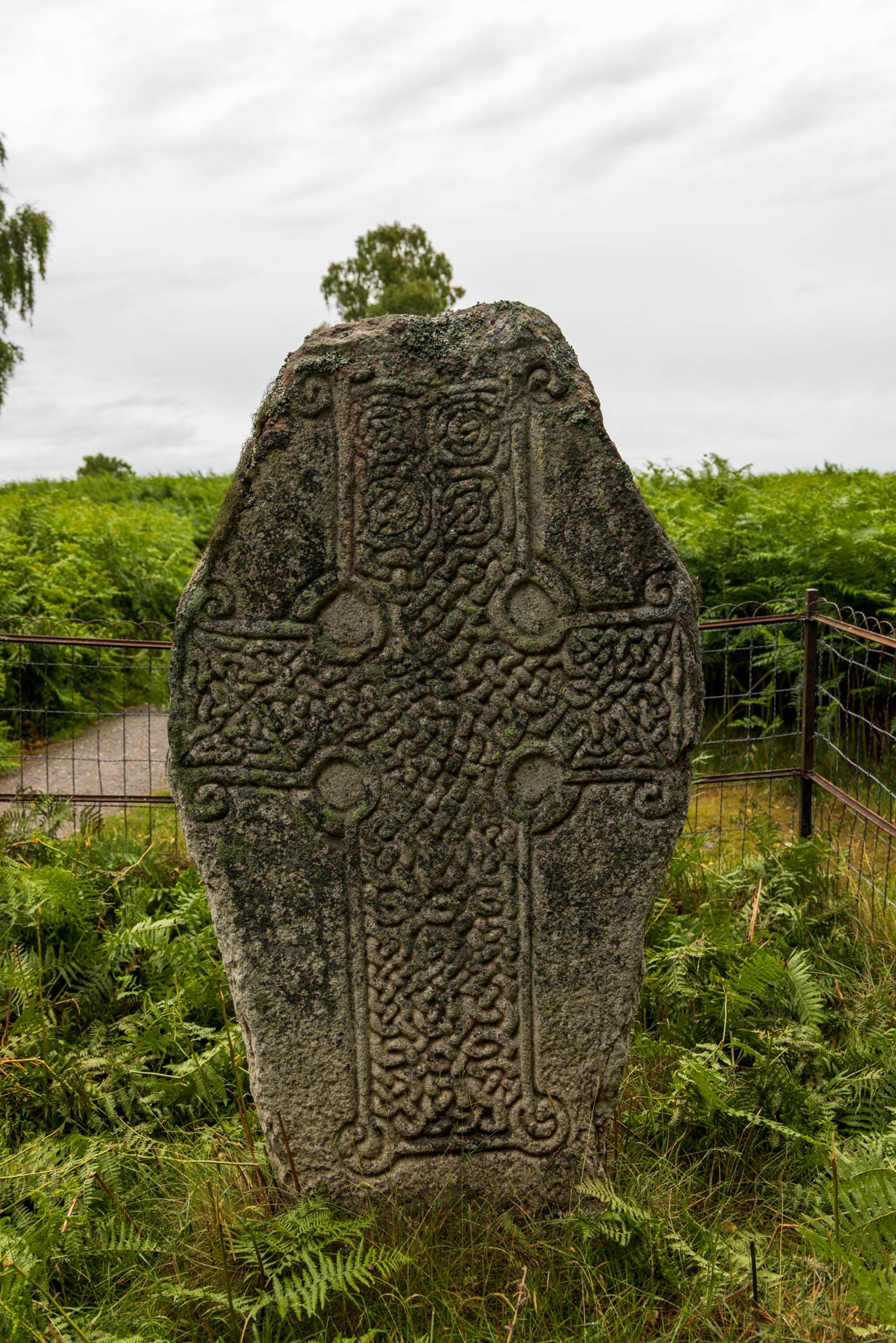 Das Kinord Cross ist eine aufwendig verzierte stehende Steinplatte 