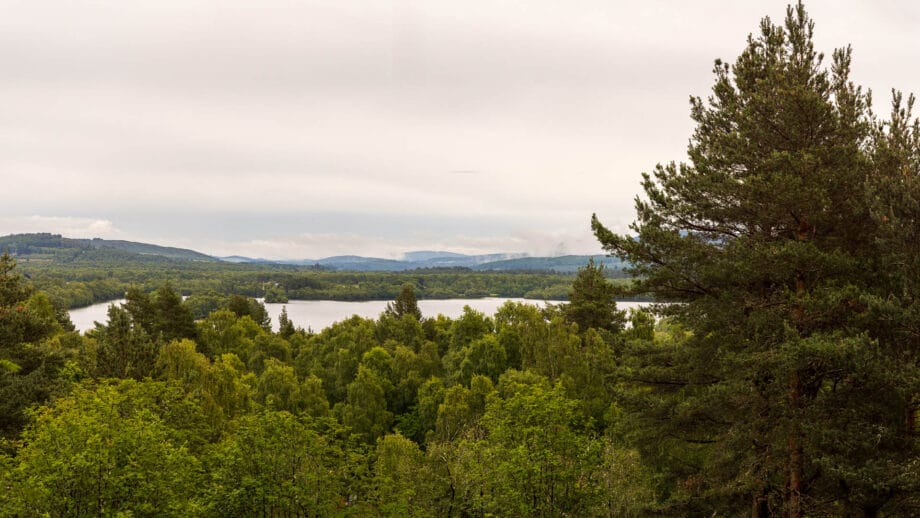 Der Blick vom Aussichtspunkt geht über Bäume hinüber zu einem See umgeben von Wald
