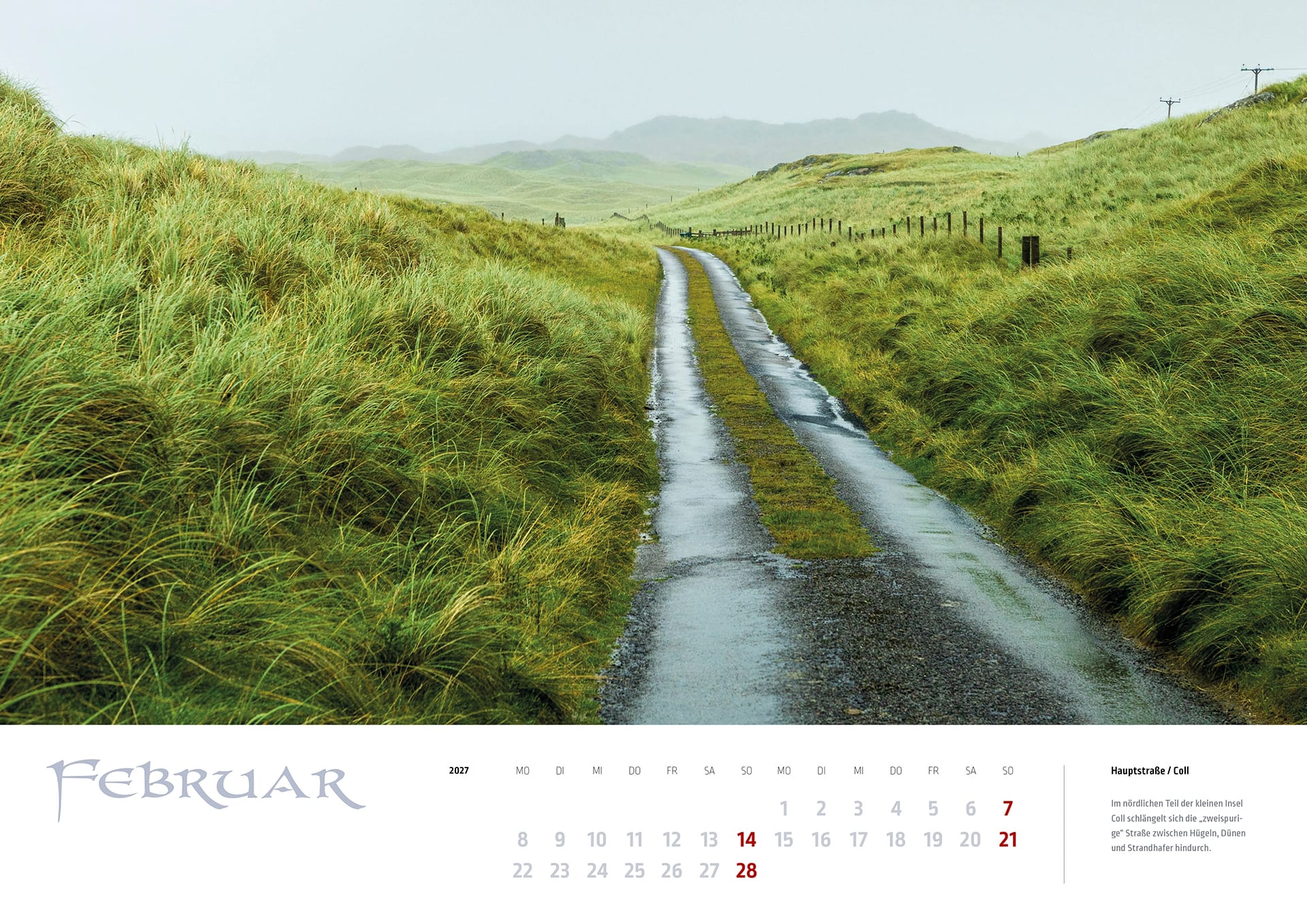 Eine schmale Straße zwischen grünen Dünen auf der Insel Coll auf dem Kalenderblatt Februar des MyHighlands.de Schottland Kalenders 2027.