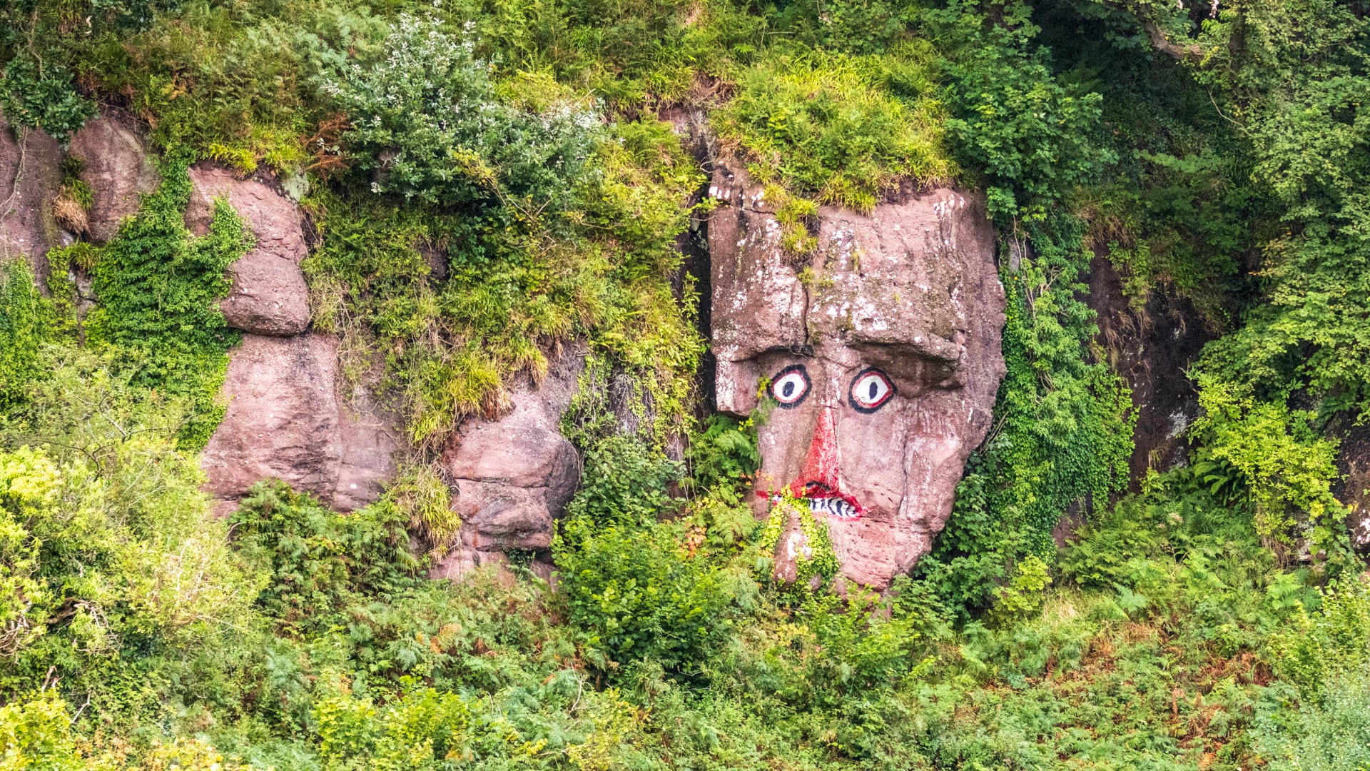 Indian’s Face