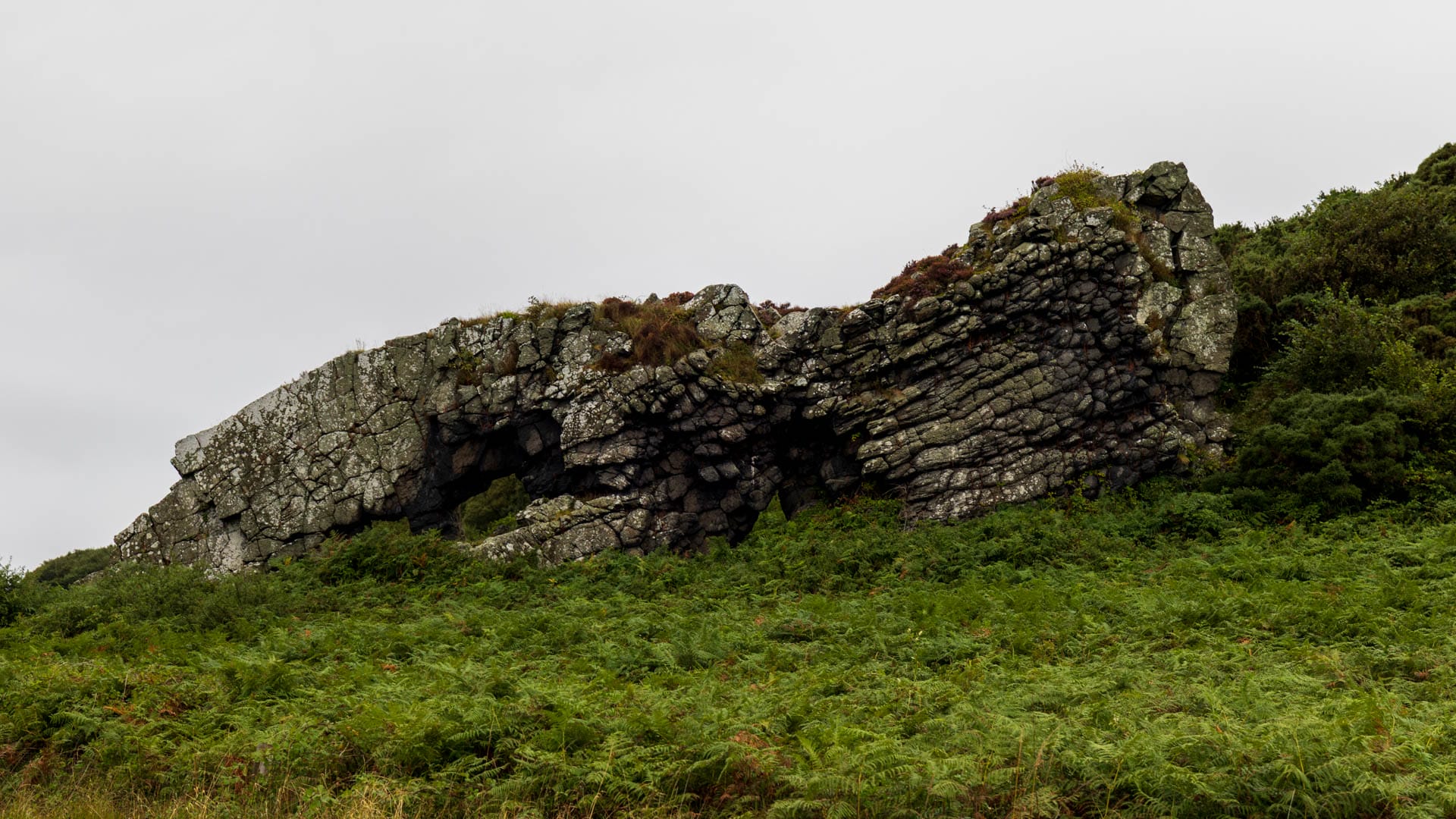 Der Lion Rock ist wie ein schreitender Löwe geformt.