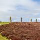 Ring-of-Brodgar-Teil-4
