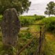 Ein Stein mit kunstvoller Steinmetzarbeit aus der Zeit der Pikten steht in einer grünen Landschaft